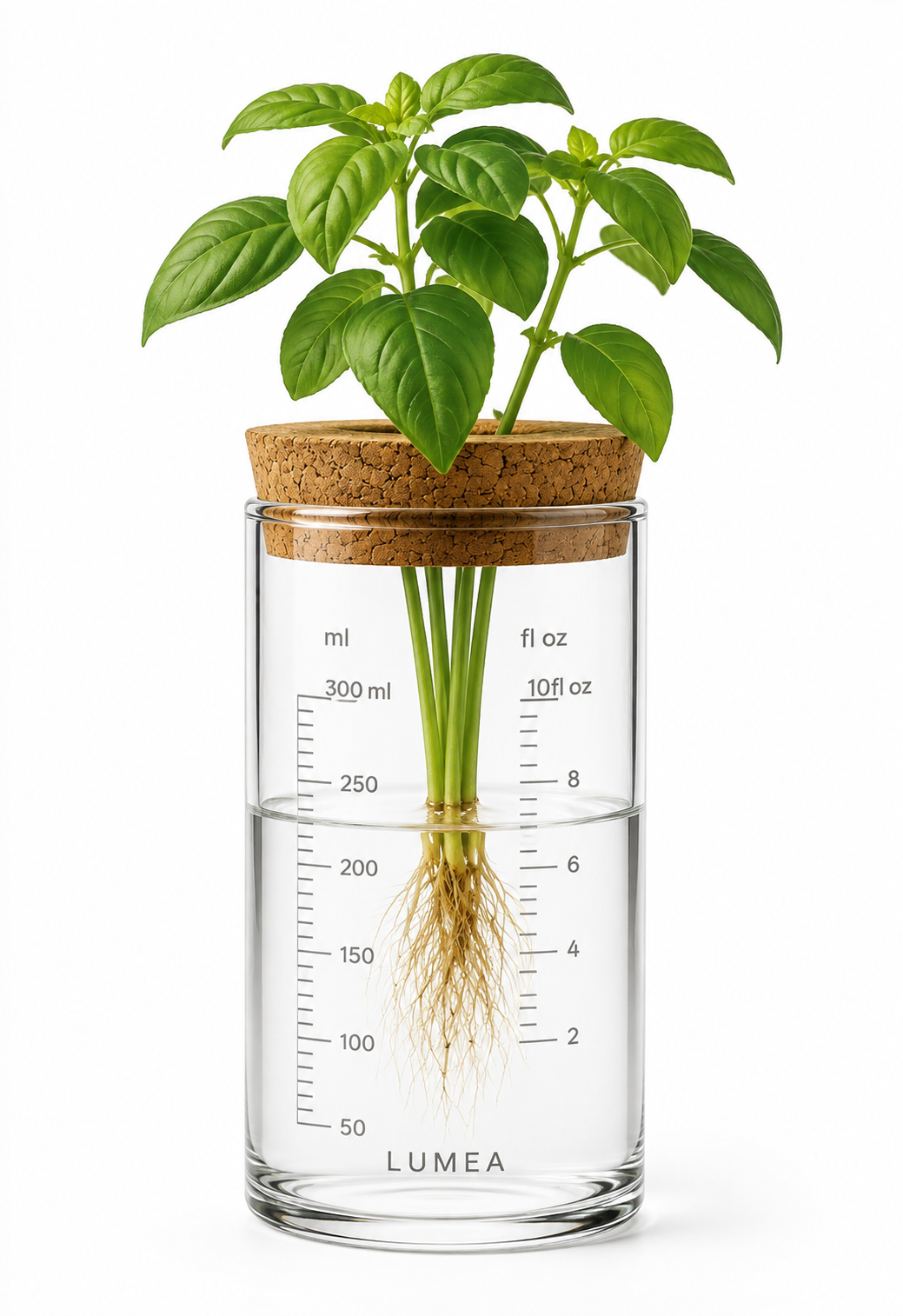 Discovery Vase | Little Living